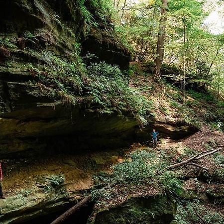 Dunlap Hollow A-Frame Rockbridge エクステリア 写真