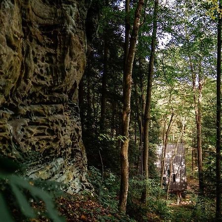 Dunlap Hollow A-Frame Rockbridge エクステリア 写真