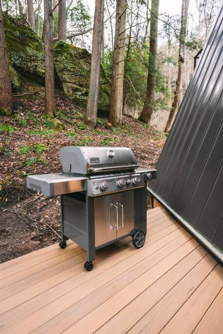 Dunlap Hollow A-Frame Rockbridge エクステリア 写真