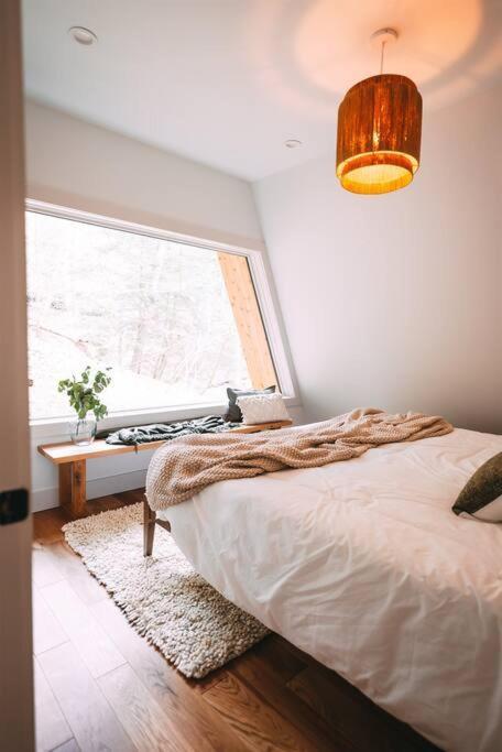 Dunlap Hollow A-Frame Rockbridge エクステリア 写真