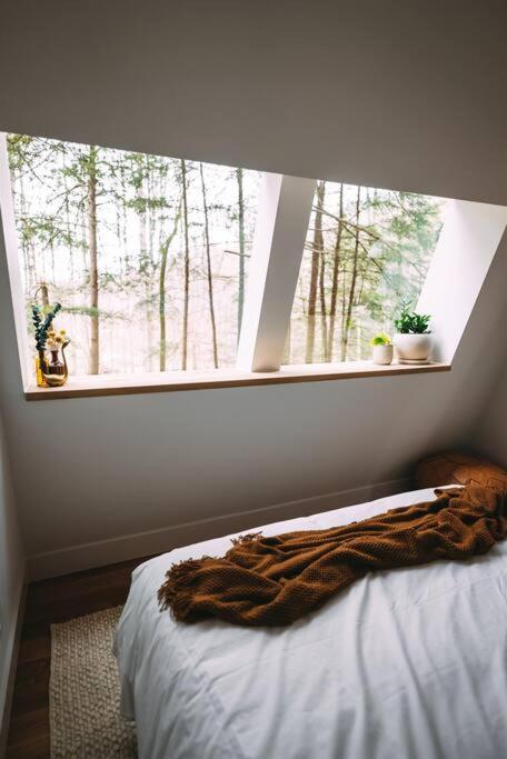 Dunlap Hollow A-Frame Rockbridge エクステリア 写真
