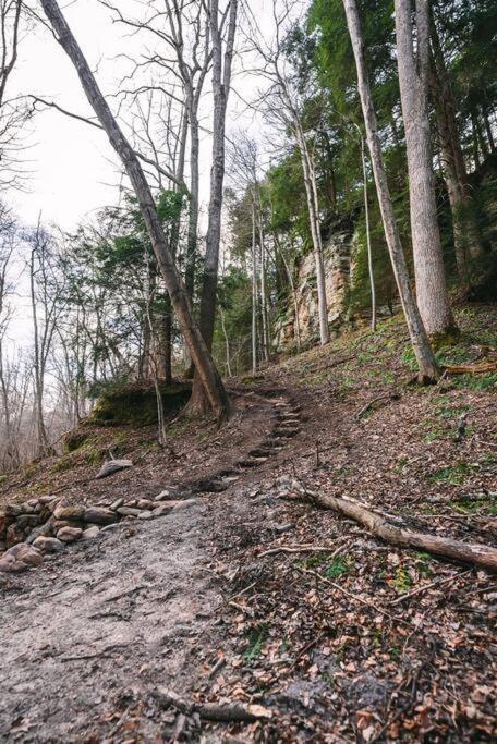 Dunlap Hollow A-Frame Rockbridge エクステリア 写真