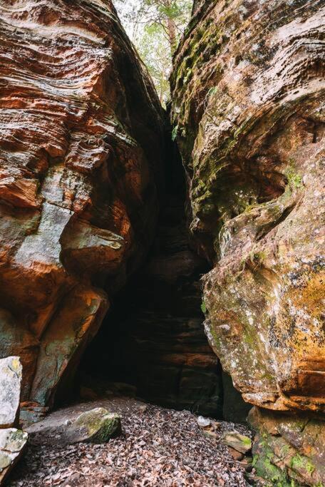 Dunlap Hollow A-Frame Rockbridge エクステリア 写真