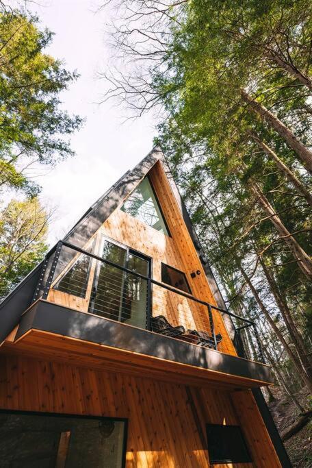 Dunlap Hollow A-Frame Rockbridge エクステリア 写真
