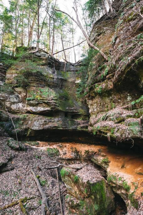 Dunlap Hollow A-Frame Rockbridge エクステリア 写真