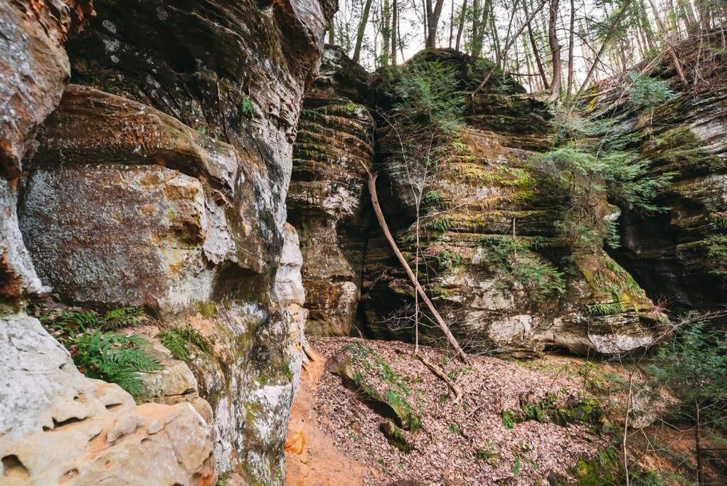 Dunlap Hollow A-Frame Rockbridge エクステリア 写真